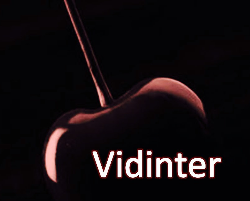 Vidinter
